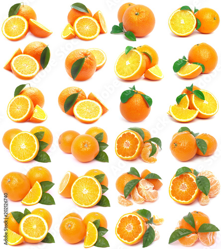 Orange fruit