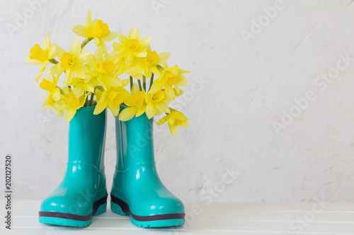 Fototapeta Naklejka Na Ścianę i Meble -  rubber boots and spring flowers on white background