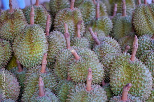 A stack of Durian monthong. Durian is king of fruit is famous Asian fruit.