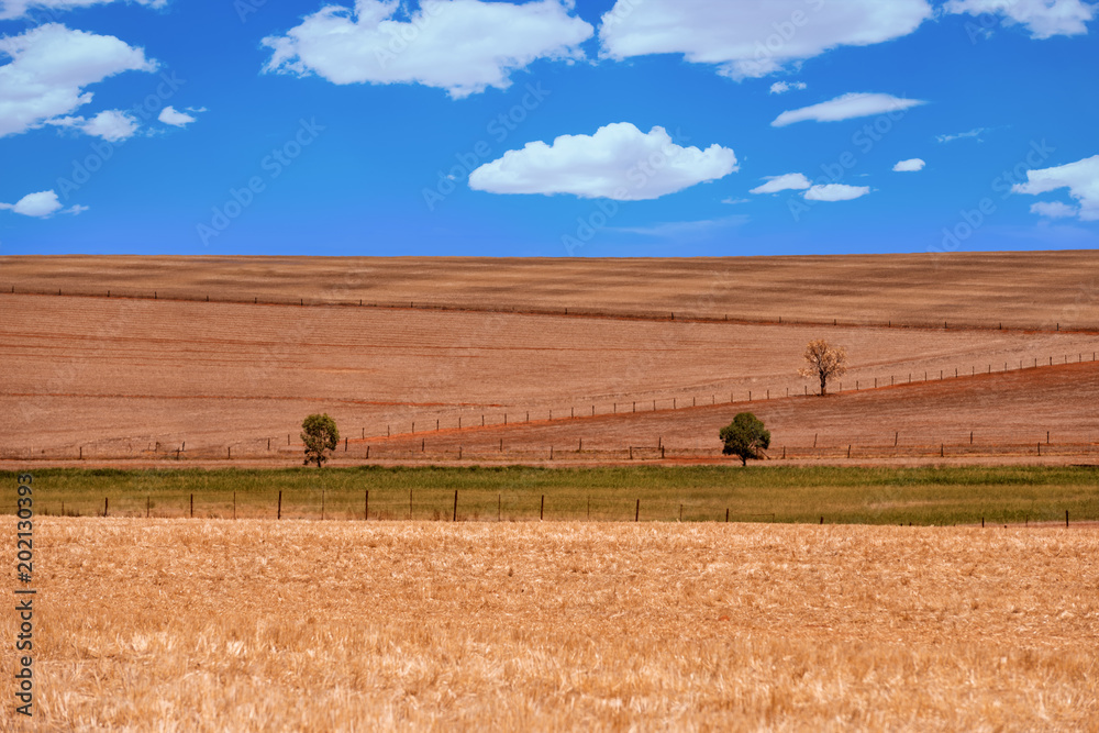 Obraz premium Agricultural ploughed field. Rural landscape with blue sky with clouds and trees