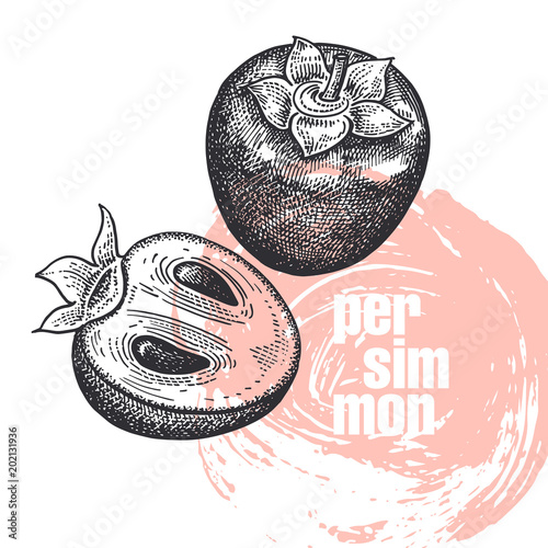 Realistic illustration of persimmon fruit isolated on white background.