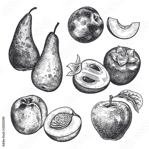 Realistic berries and fruit set.