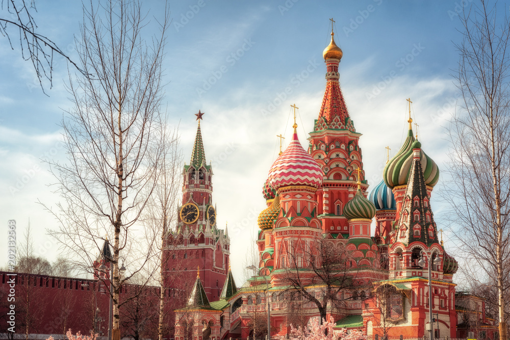 Moscow Kremlin and St Basil's Cathedral on the Red Square in Moscow, Russia. Spring sunny day, birch trees at the first stage. Moscow Kremlin and St Basil's Cathedral on the Red Square in Moscow, Russia. Spring sunny day, birch trees at the first stage.