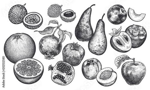 Realistic berries and fruit big set.