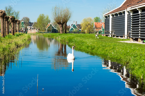 Dutch spring landscape in the village