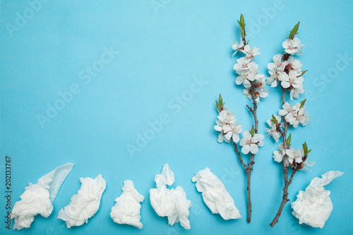 Spring and summer flowering, white wipes used. Allergy and runny nose, concept. Copy space for text. © Andrii Zastrozhnov