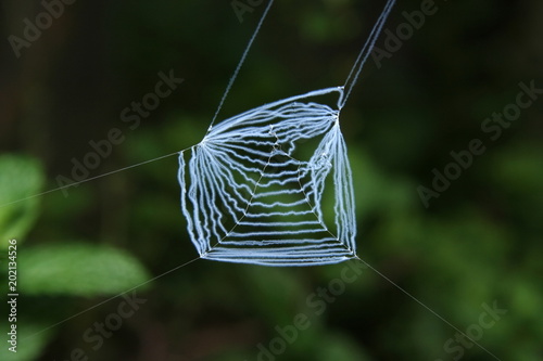 Web trap of a Net-casting Spider photo