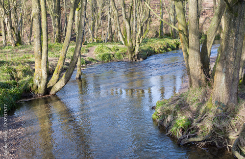 Small stream flowing through deciduous woodland