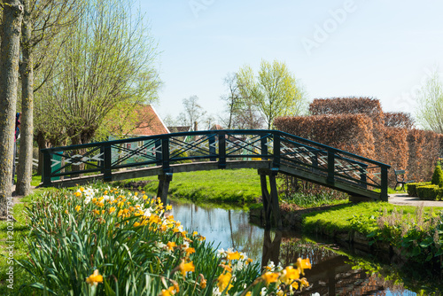 Dutch spring landscape in the village