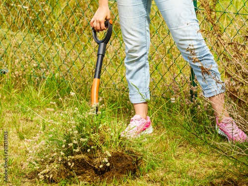 Woman digging soil with shovel