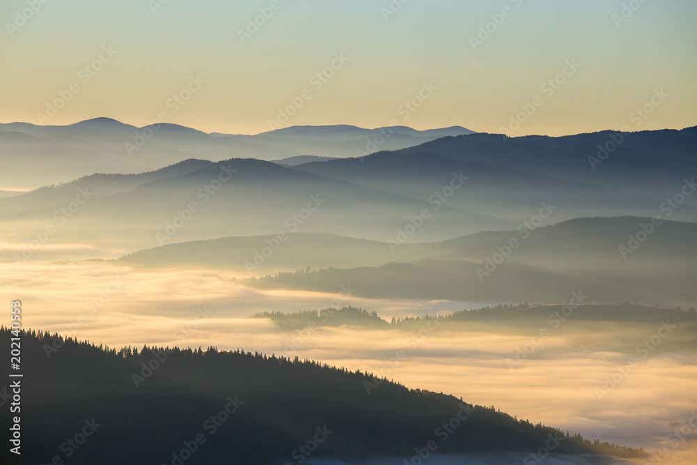 Obraz premium Sunrise against the background of the Carpathian mountains in the summer. Ukraine