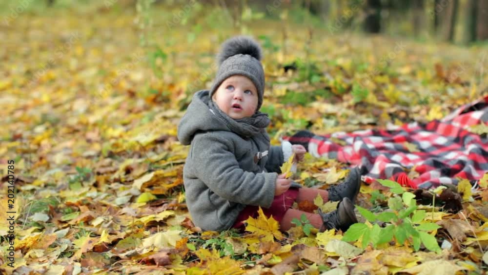 little stylish baby in a coat sits in an autumn park little stylish baby in a coat sits in an autumn park