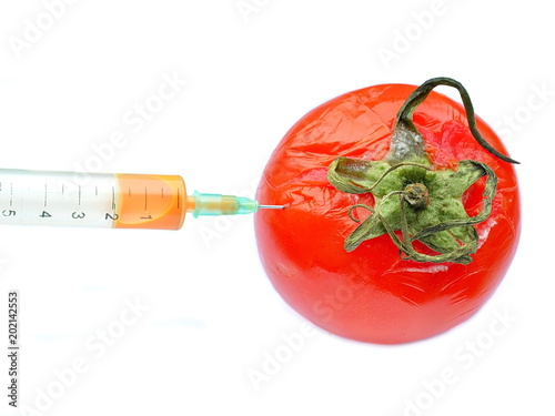 Injection of medical syringe with orange liquid stuck in a red rotten tomato. Isolated. White background