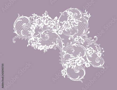 lace ornate element. vector illustration