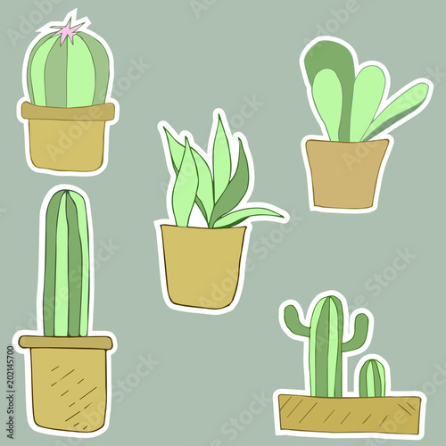 Cactus sticker in flowerpots, set, vector illustration