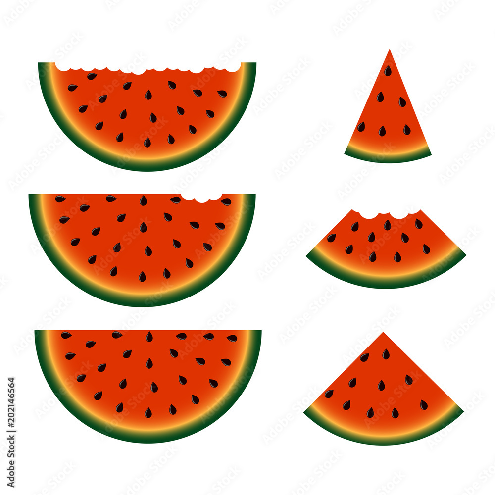 Set of watermelon slices. Vector. Set of watermelon slices. Vector.