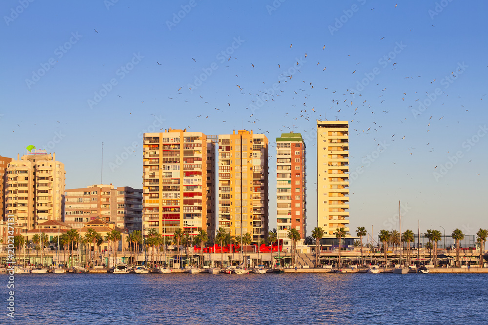 Sunny buildings next to the port