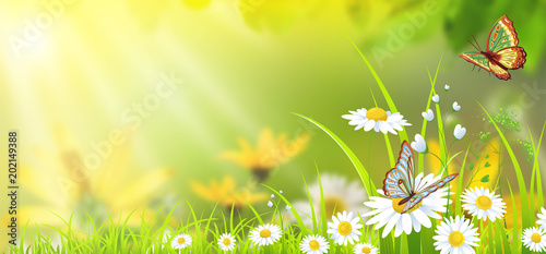 colorful green background with flowers and butterflies