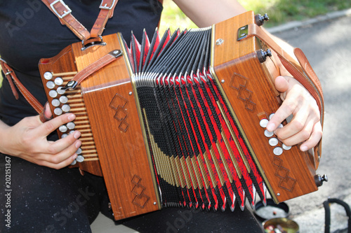 musicista da strada con fisarmonica