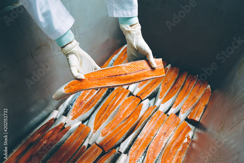 fish seafood factory photo