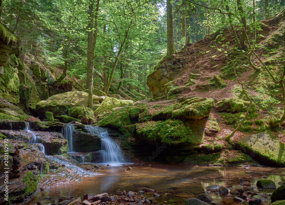 Obraz premium Das Monbachtal im Schwarzwald
