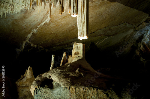 Lucas Cave - Jenolan Caves - Australia photo