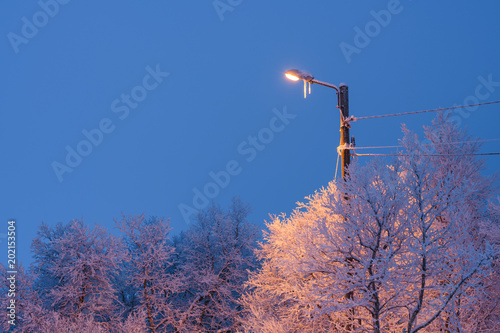 Illuminated street light photo