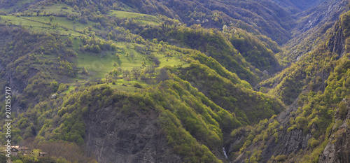 Spring in a mountain gorge