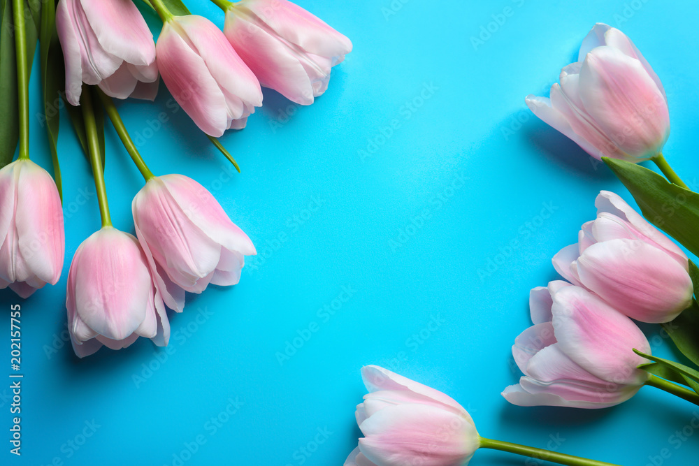 Beautiful composition with tulips for Mother's Day on color background