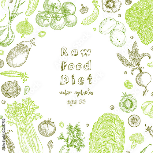 Raw food diet. Vegetarian vintage background with natural organic products. Healthy life. Vector composition of fresh vegetables. Detailed food drawing. Great for menu, banner, label, logo, flyer.