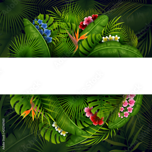 Green Tropical leaves and flower. Vector foliage with place for text background