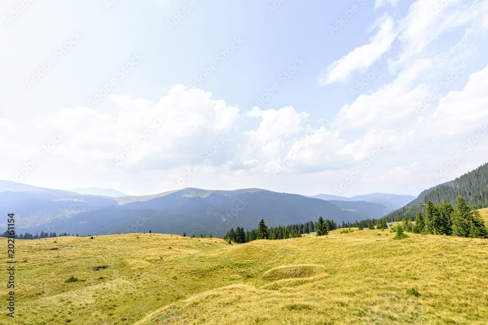 Daylight view to green grass field with mountains and haze