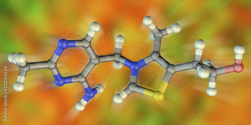 Molecular model of vitamin B1, thiamine, 3D illustration. A vitamin of