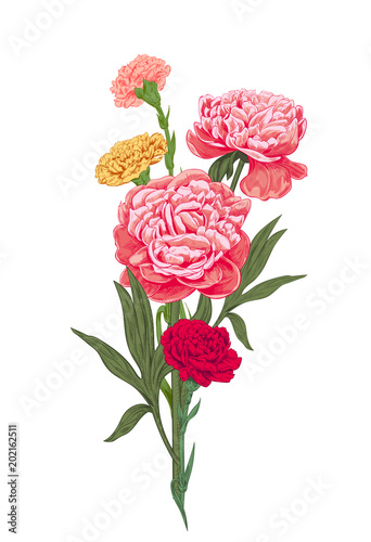 Bouquet of red, pink, yellow flowers and greenery: carnation, peony, green leaves fern, on white background, hand draw, colorful engraving vintage sketch style, botanical vector