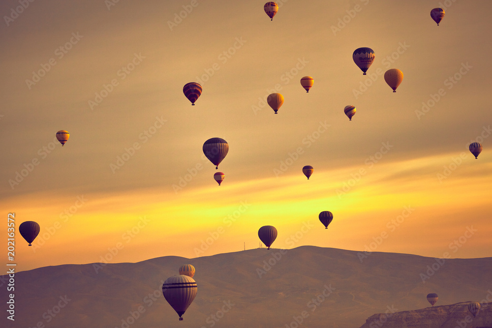 Obraz premium Colorful hot air balloon at the festival