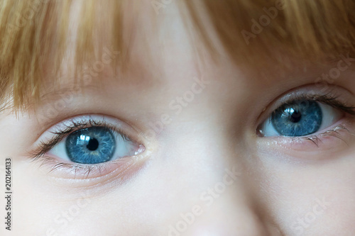 blue eyes of little blonde girl close up