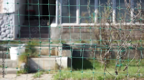 View Through The Garden Mesh