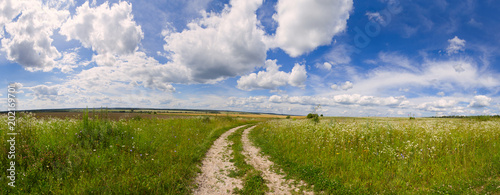 Fotografia Summer landscape during summer flowering, road and clouds.