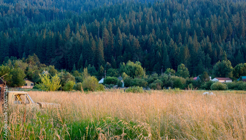 Fallow field in Quincy, Backcountry California