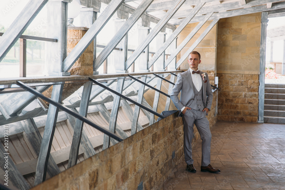 Portrait of a young stylish man in a classic business suit in gray with a white shirt and a bow tie. A young guy is a businessman. The concept of beautiful men's clothing and accessories.