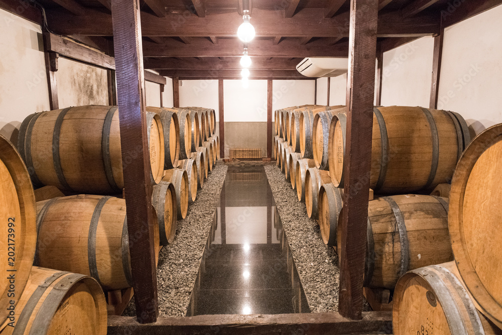 Many wine barrels are aging  at under ground wine cellar.