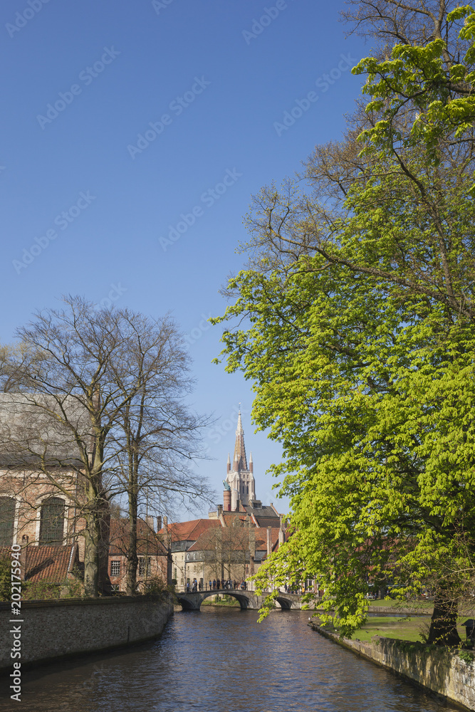 Belgium, Flanders, Bruges, Old town, Canal in spring, Liebfrauenkirche in background, chestnut tree Belgium, Flanders, Bruges, Old town, Canal in spring, Liebfrauenkirche in background, chestnut tree