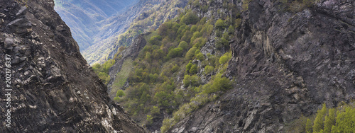 Spring in a mountain gorge
