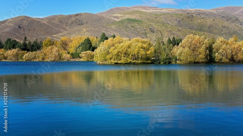 Autumn Leaves Reflected In A Lake In New Zealand