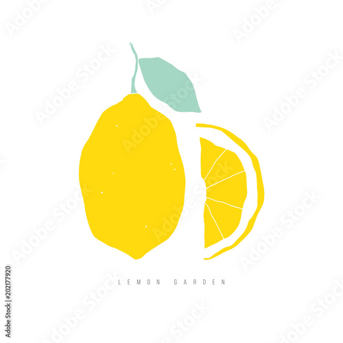 Hand drawn vector lemon. Food illustration
