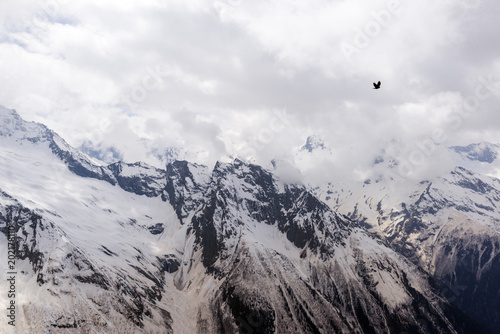 slopes and peaks, summits of the Caucasus mountains, mountains in the snow, bird flies over the mountains