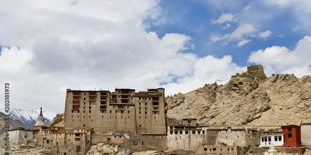 View on the beautifully Leh palace in the Leh city in Ladakh, Jammu and Kashmir