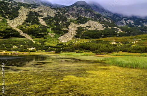 Beautiful landscape with lake and green grass in the mountain