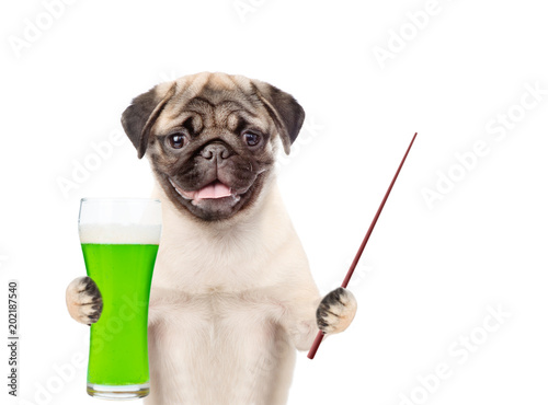 St Patrick's Day concept. Funny dog with a glass of green beer and pointing stick. isolated on white background © Ermolaev Alexandr