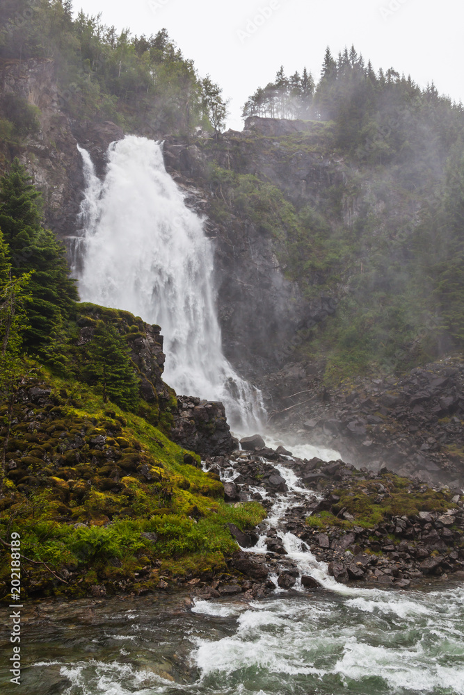 Obraz premium Waterfall on the mountain river in the rocky gorge overgrown with the wood, Norway